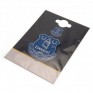 Everton FC Pin Badge