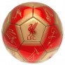 Liverpool  FC Signature Football Size 5