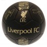 Liverpool FC Signature Football Size 5, Black and Gold